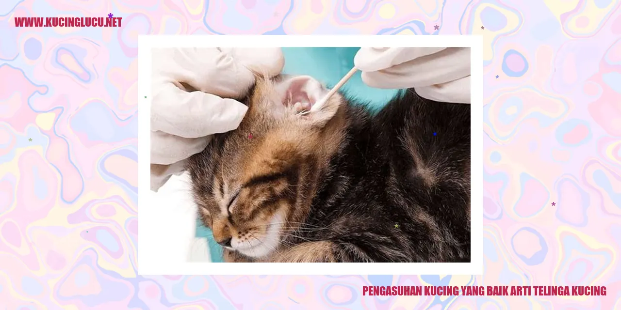 Kucing dengan Telinga yang Sehat