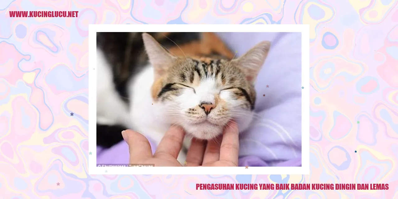 Kucing Mengalami Kedinginan dan Lemas