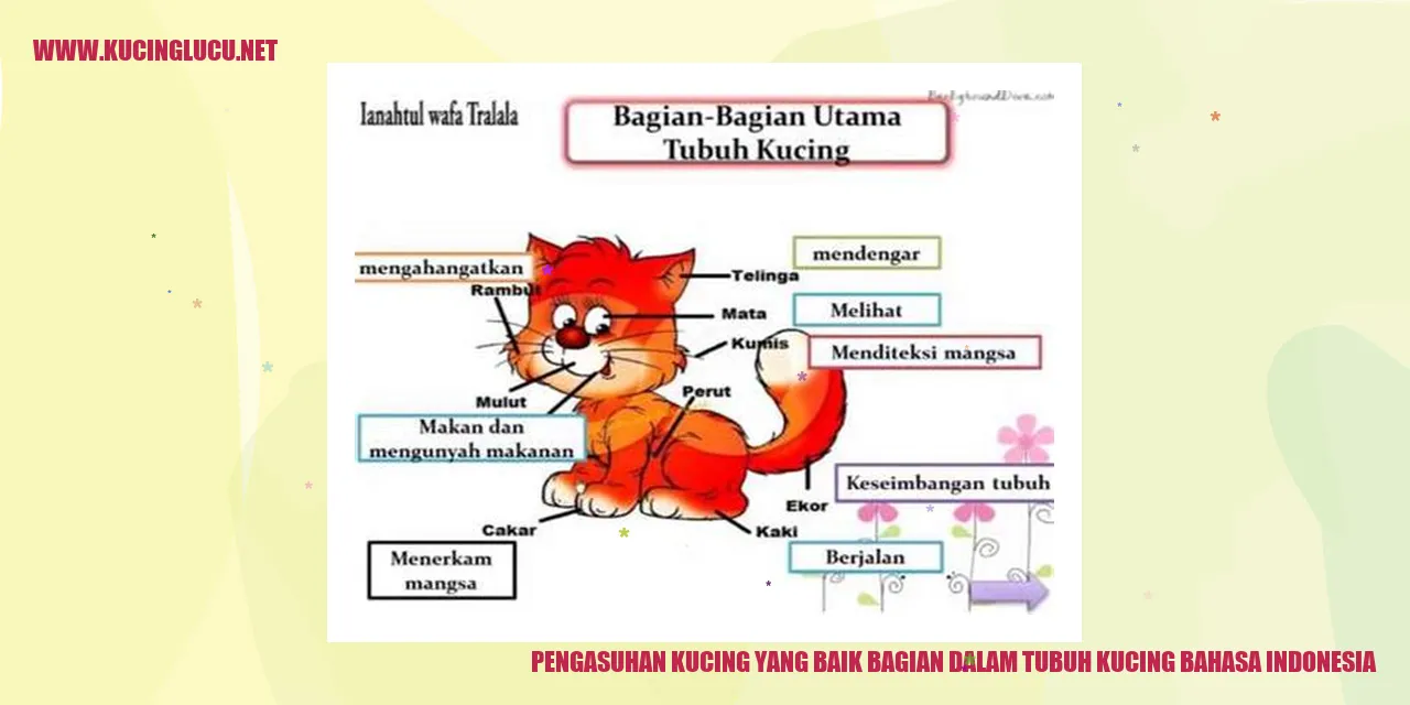 Pengasuhan Kucing yang Baik