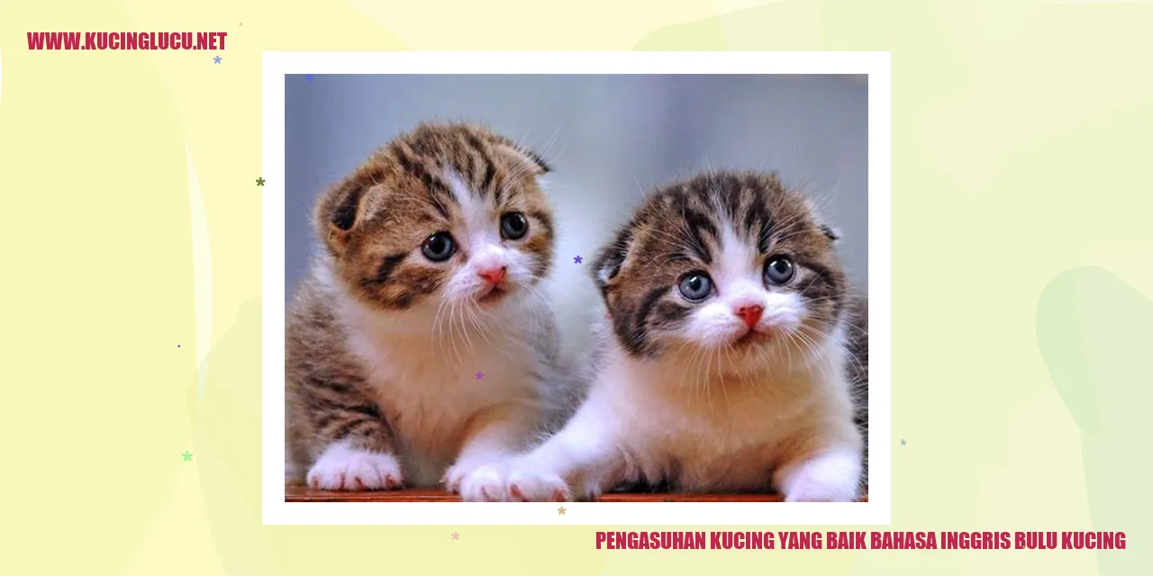 Gambar Kucing dengan Bulu yang Indah dan Menarik