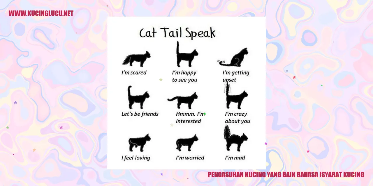 Gambar Kucing yang Bahagia