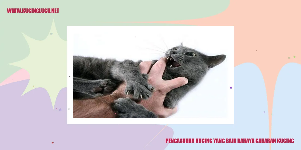 gambar kucing