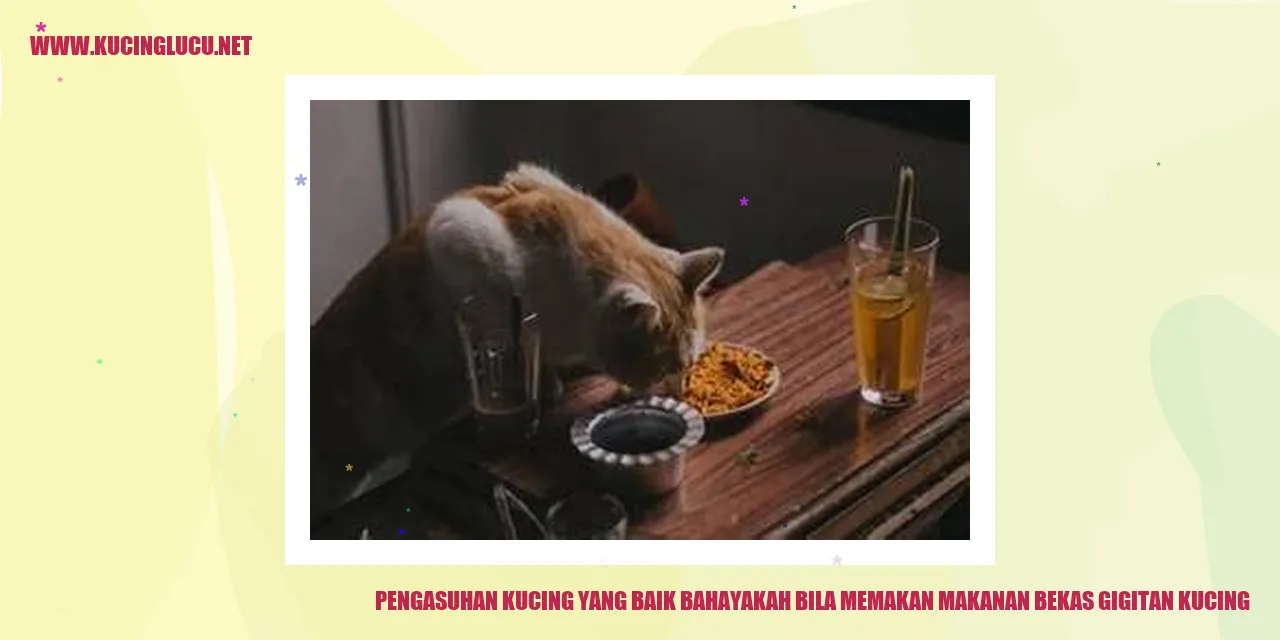 Foto Kucing