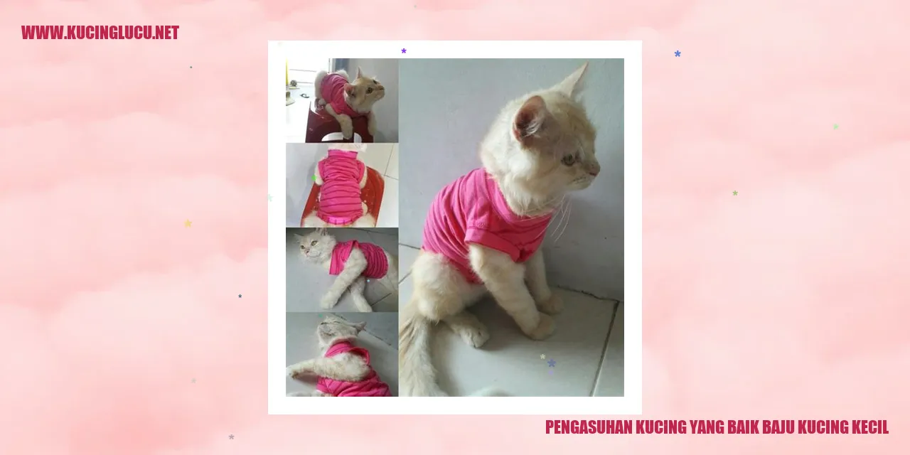 Kucing kecil yang menggemaskan