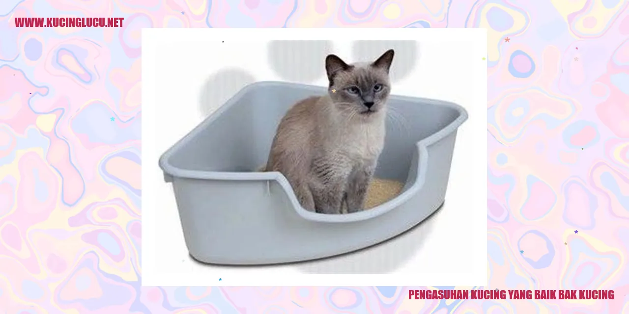 Pengasuhan Kucing yang Baik