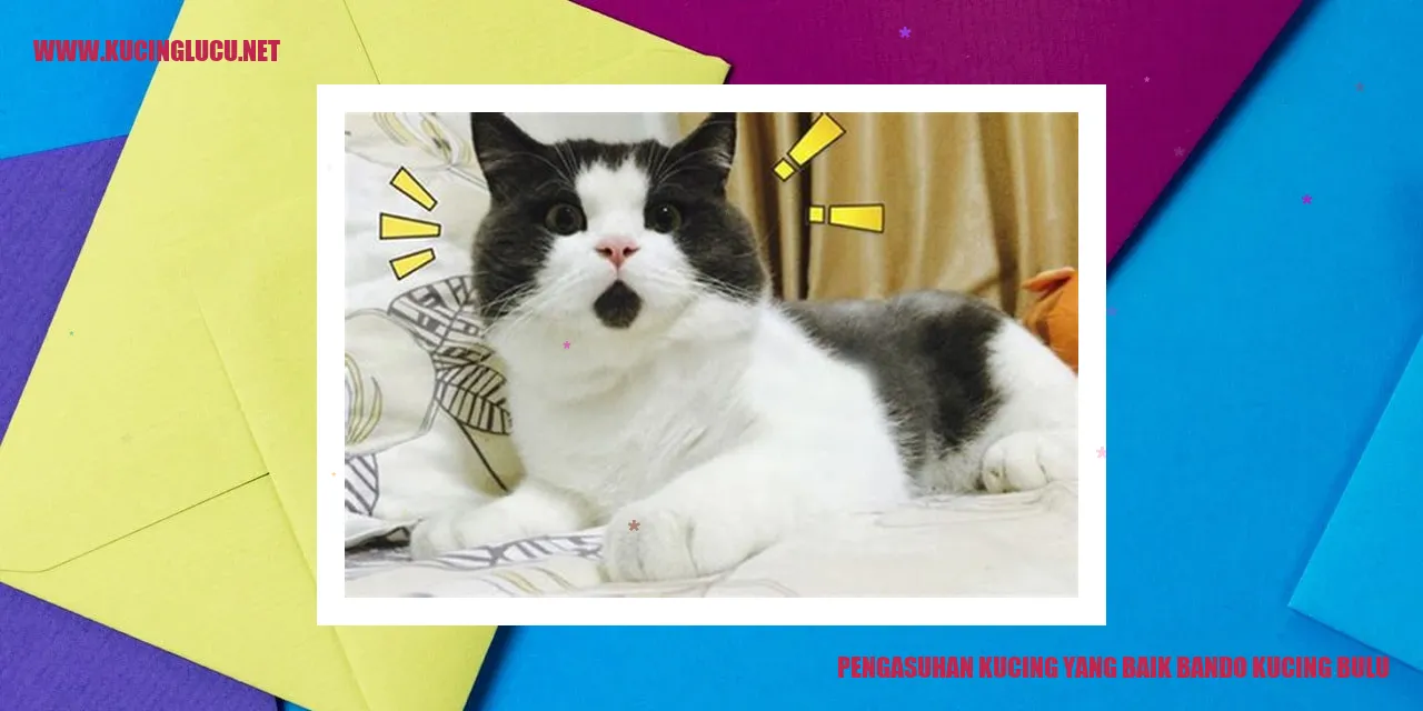 Kucing yang Bahagia