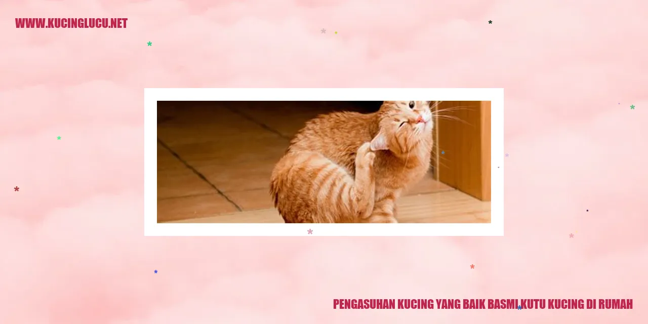 Kucing yang sedang mendapatkan perawatan