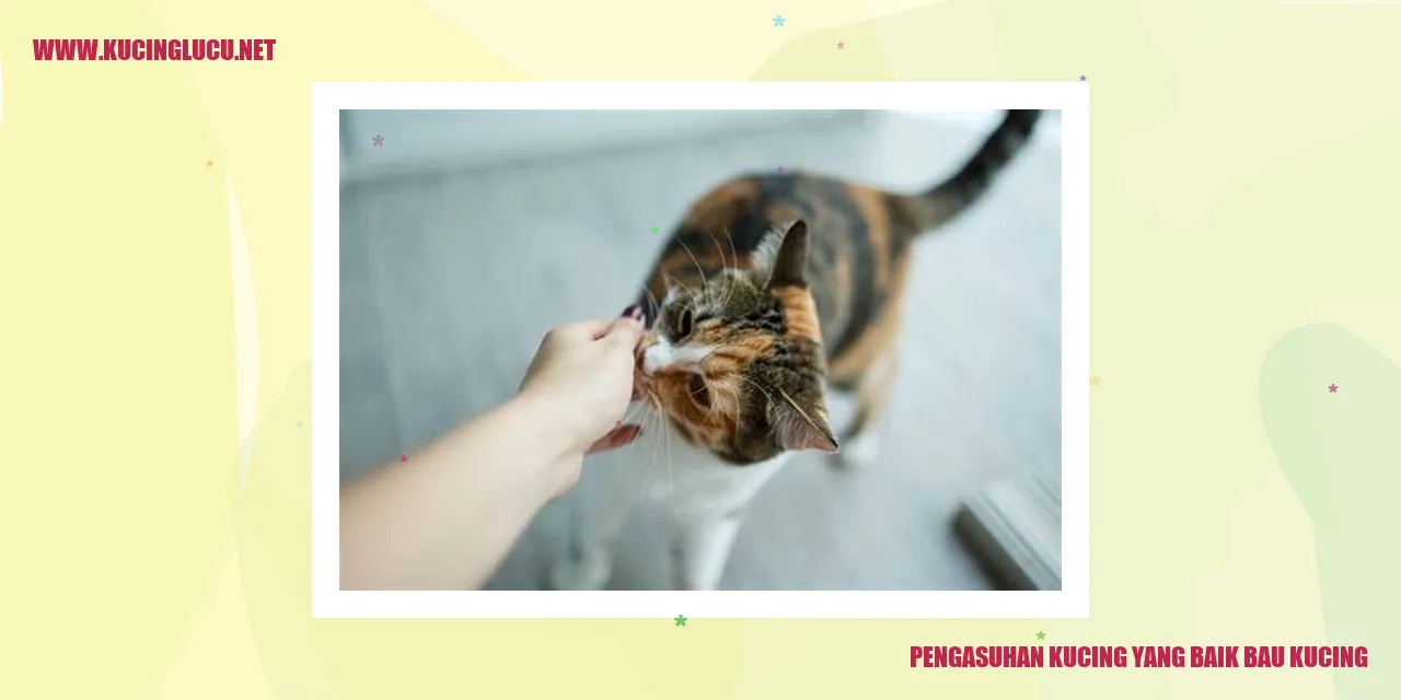 Kucing yang Bersih dan Wangi