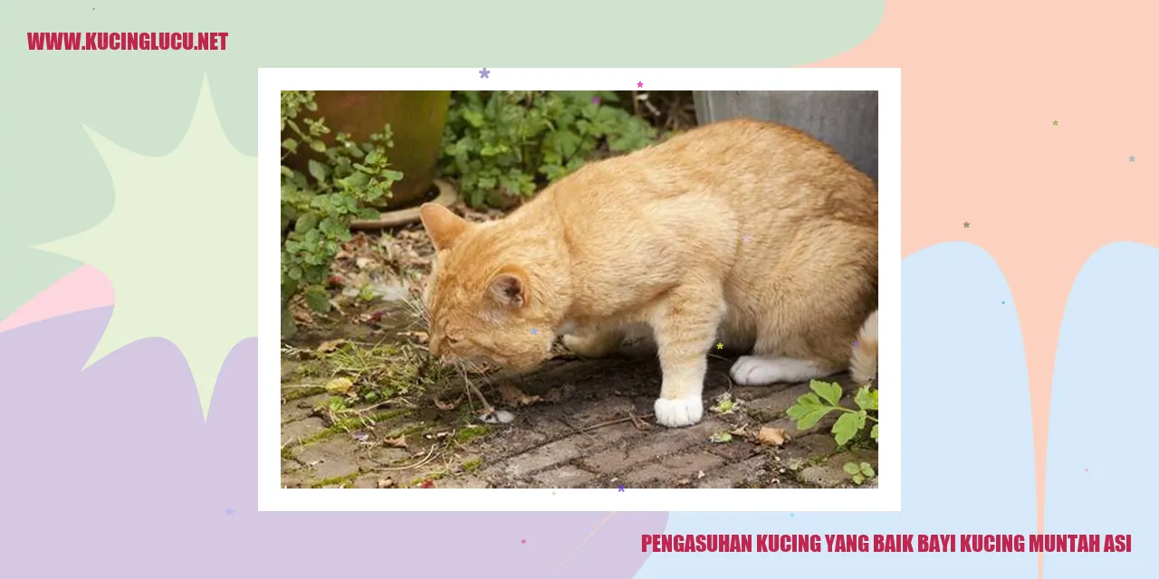 Kucing Bayi Muntah ASI