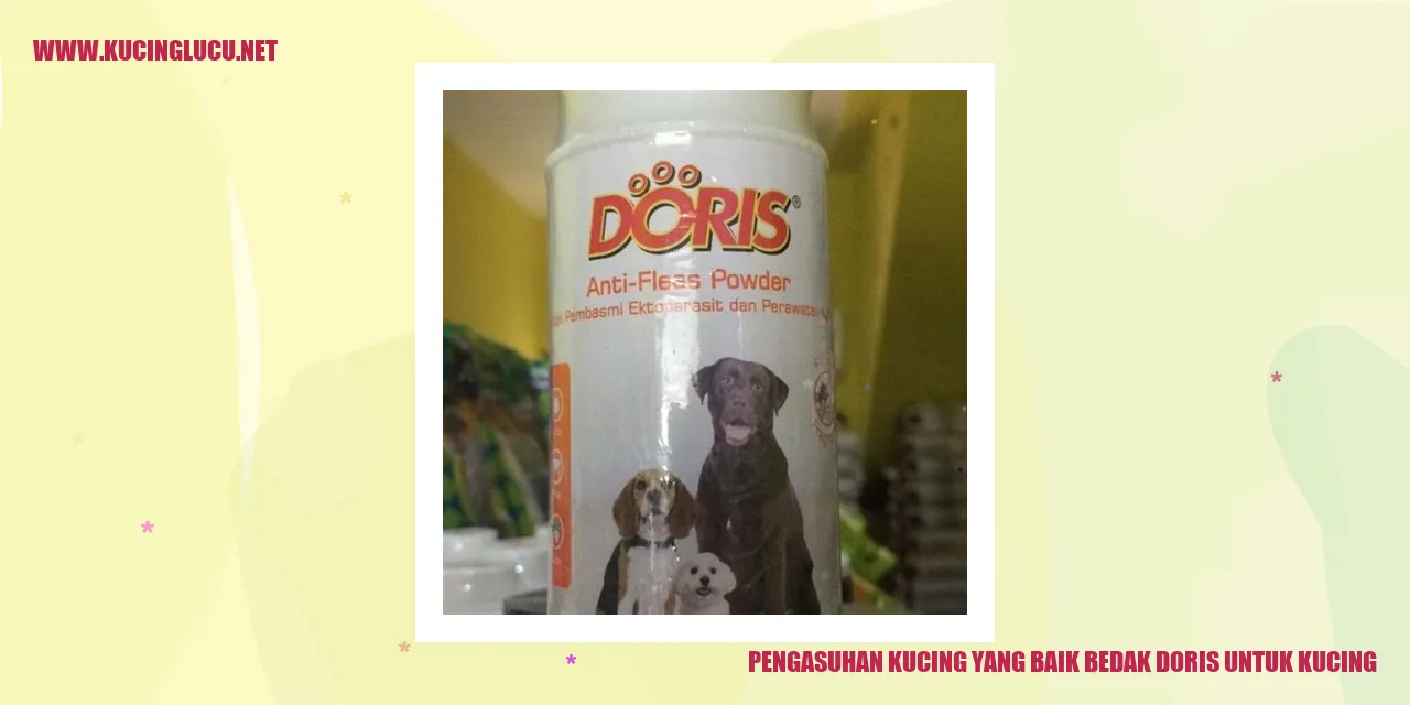 Gambar Kucing