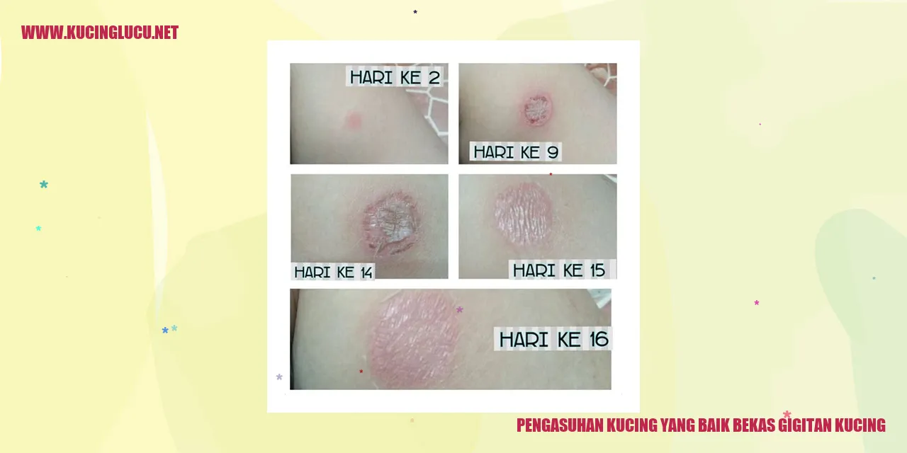 Kucing sedang digigit