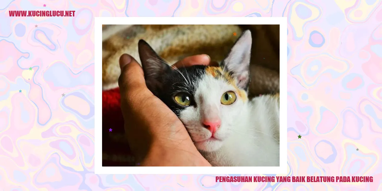 Pengasuhan Kucing yang Baik belatung pada kucing