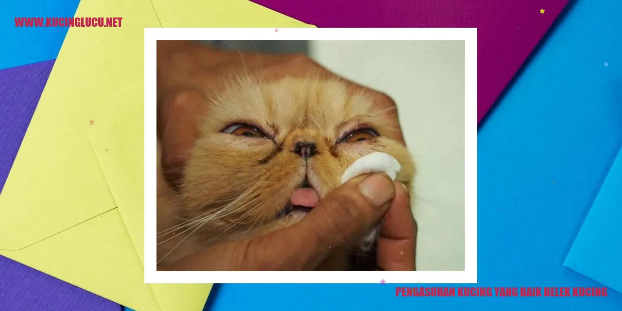 Gambar seekor kucing
