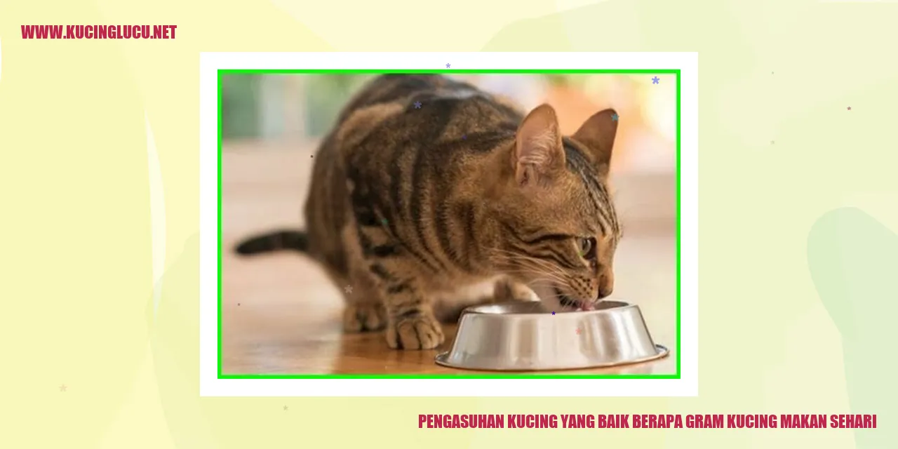 Pengasuhan Kucing yang Baik