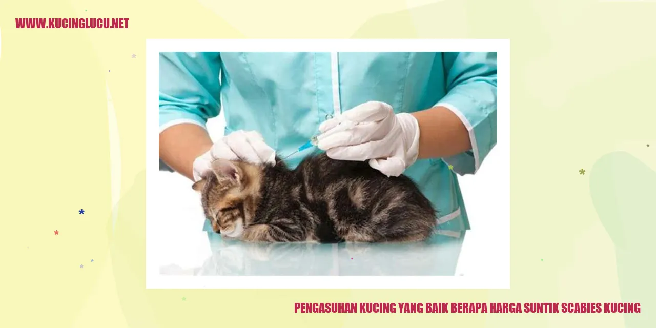 Pengasuhan Kucing yang Baik