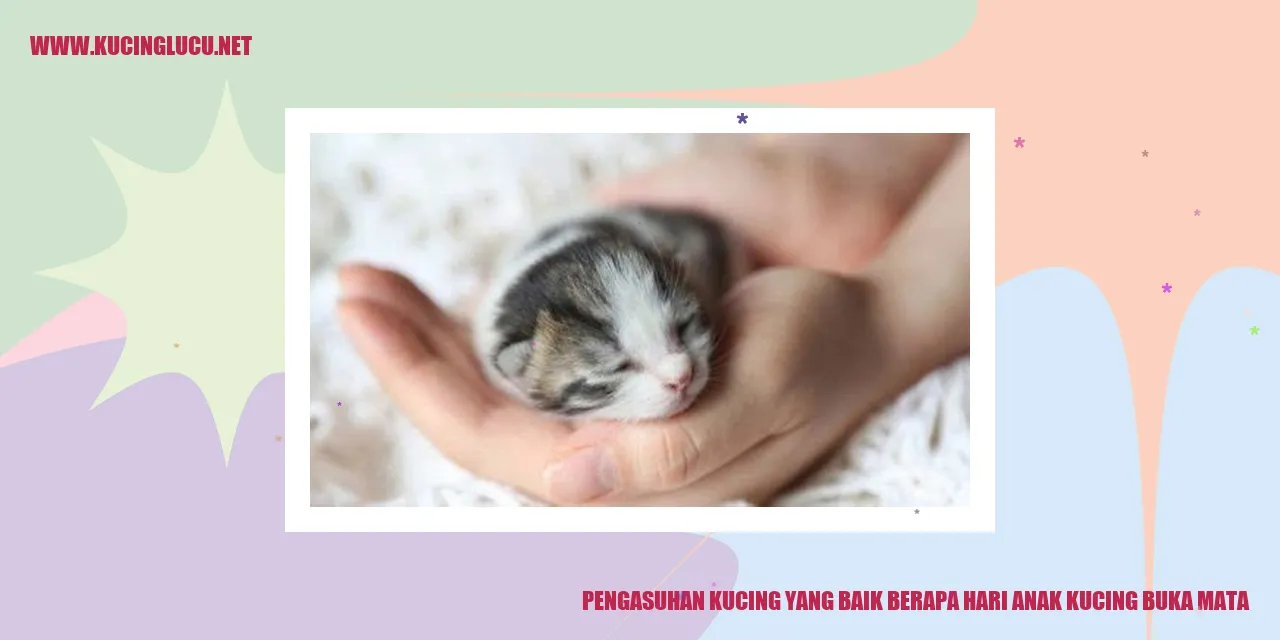 Buka Mata: Tahap Pesona Anak Kucing yang Baru Lahir