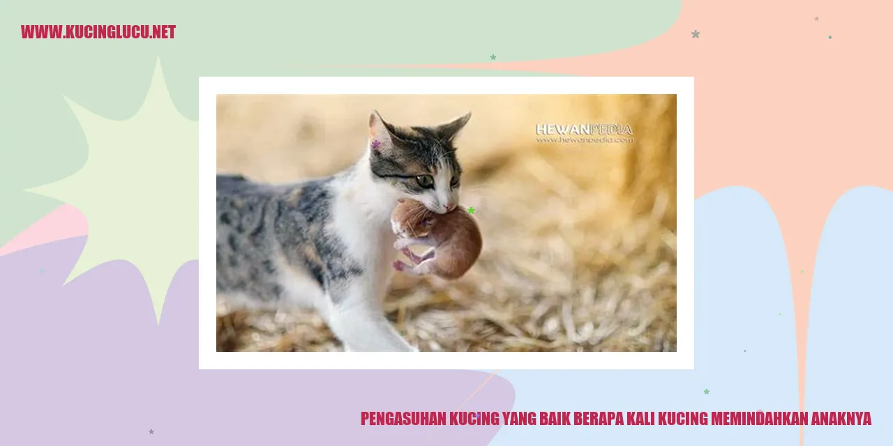 Dua Kucing dan Anaknya