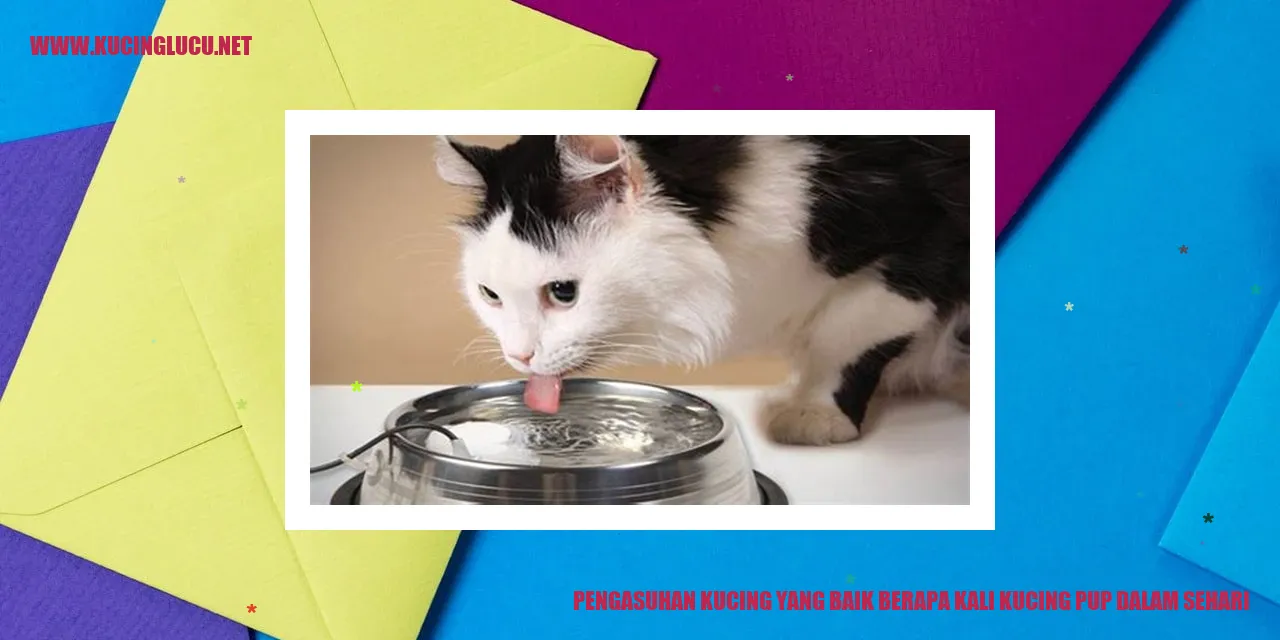 Gambar kucing buang air besar