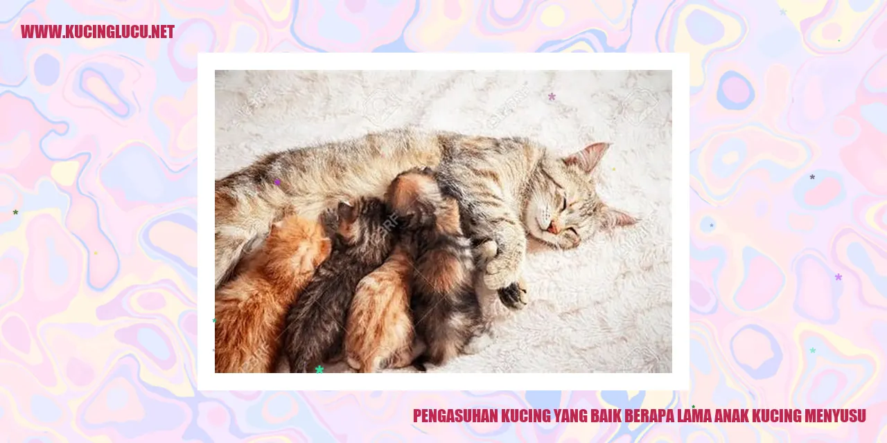 Kucing Menyusu