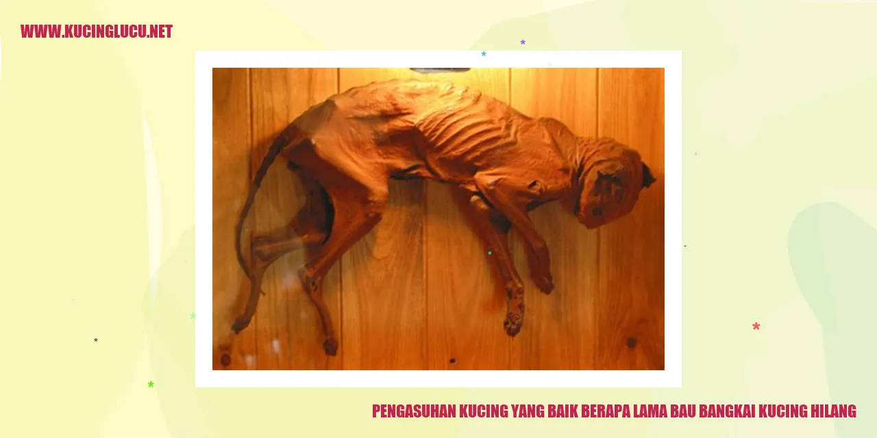 Pengasuhan Kucing yang Baik berapa lama bau bangkai kucing hilang