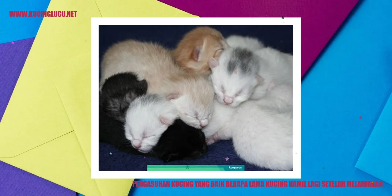 Gambar kucing bersama anaknya