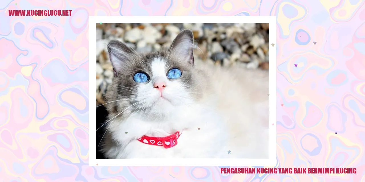 Pengasuhan Kucing yang Baik