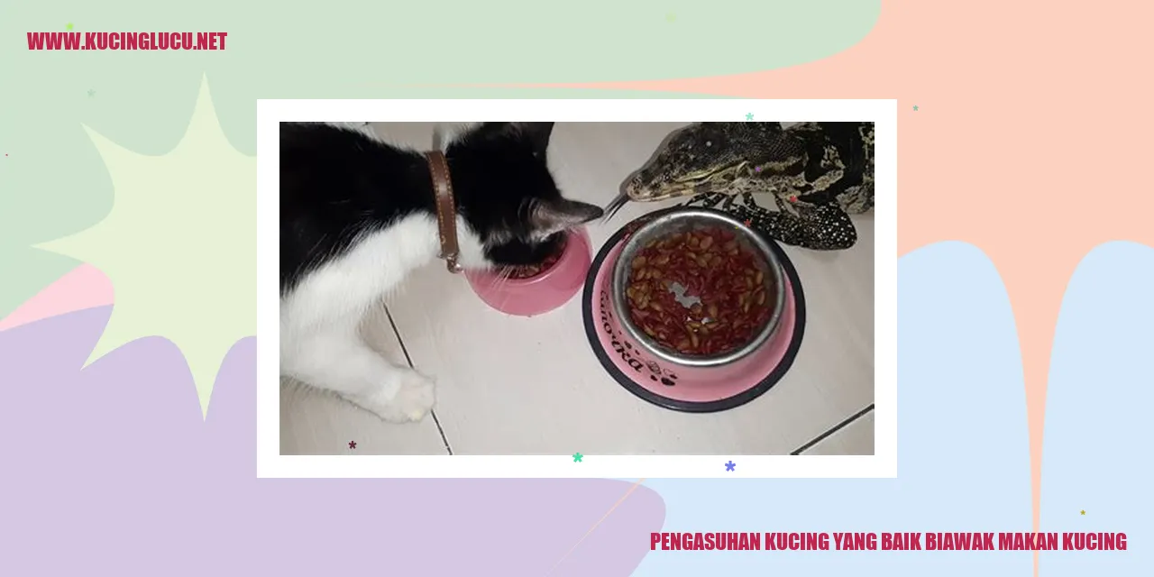 Kucing yang Bahagia