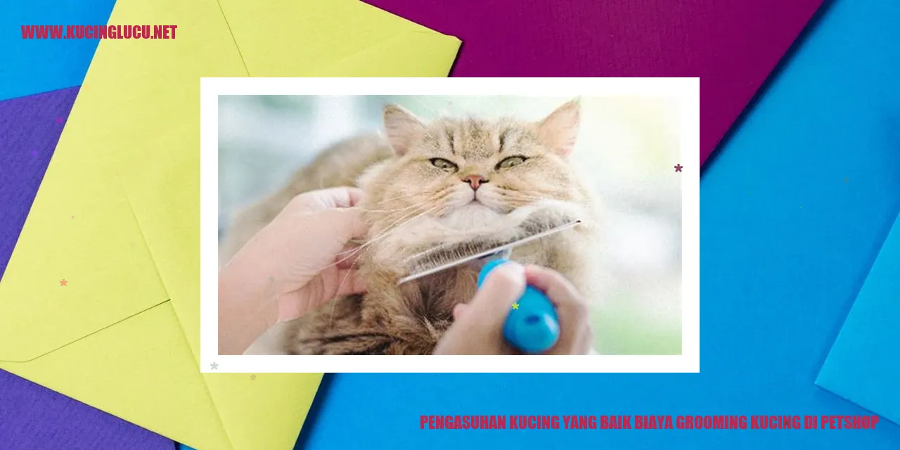 Kucing yang Sedang Digrooming di Petshop