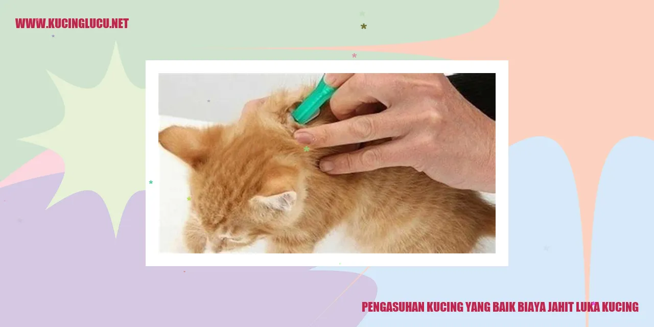 Gambar seorang pemilik yang merawat kucingnya dengan penuh perhatian