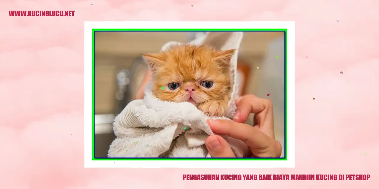Kucing yang bersih