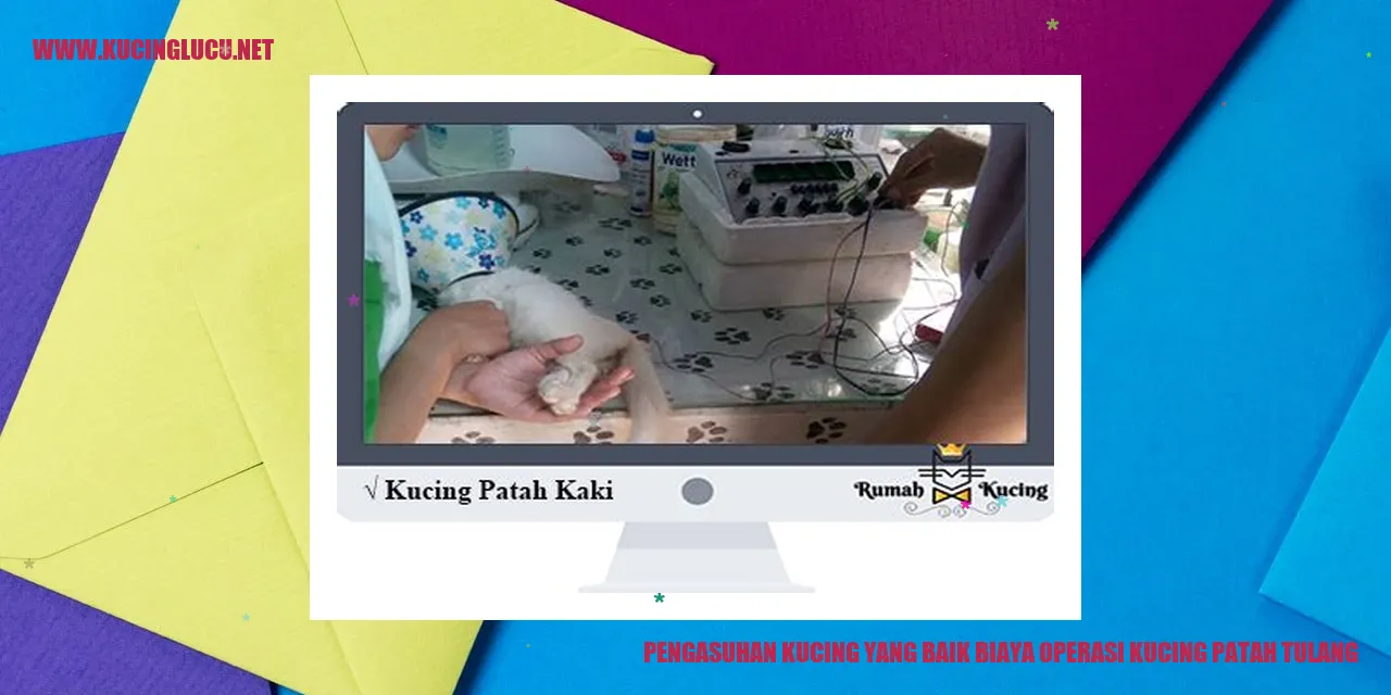 Kucing Peliharaan