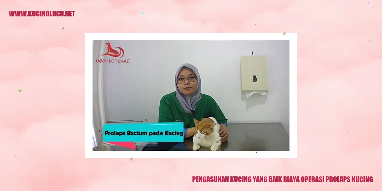 Kucing yang Sehat