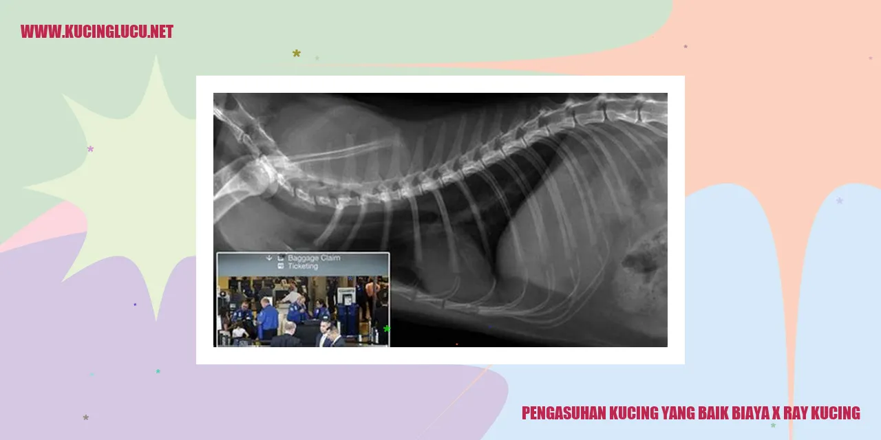 Pengasuhan Kucing yang Baik