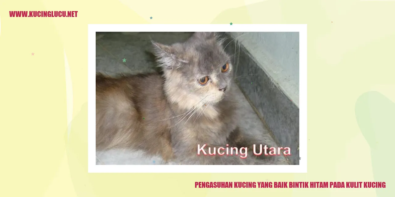 Kucing dengan bintik hitam pada kulit