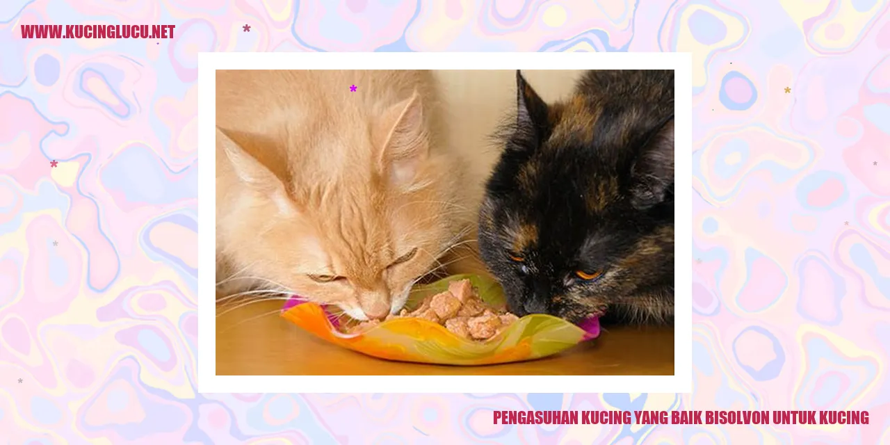 Pengasuhan Kucing yang Baik