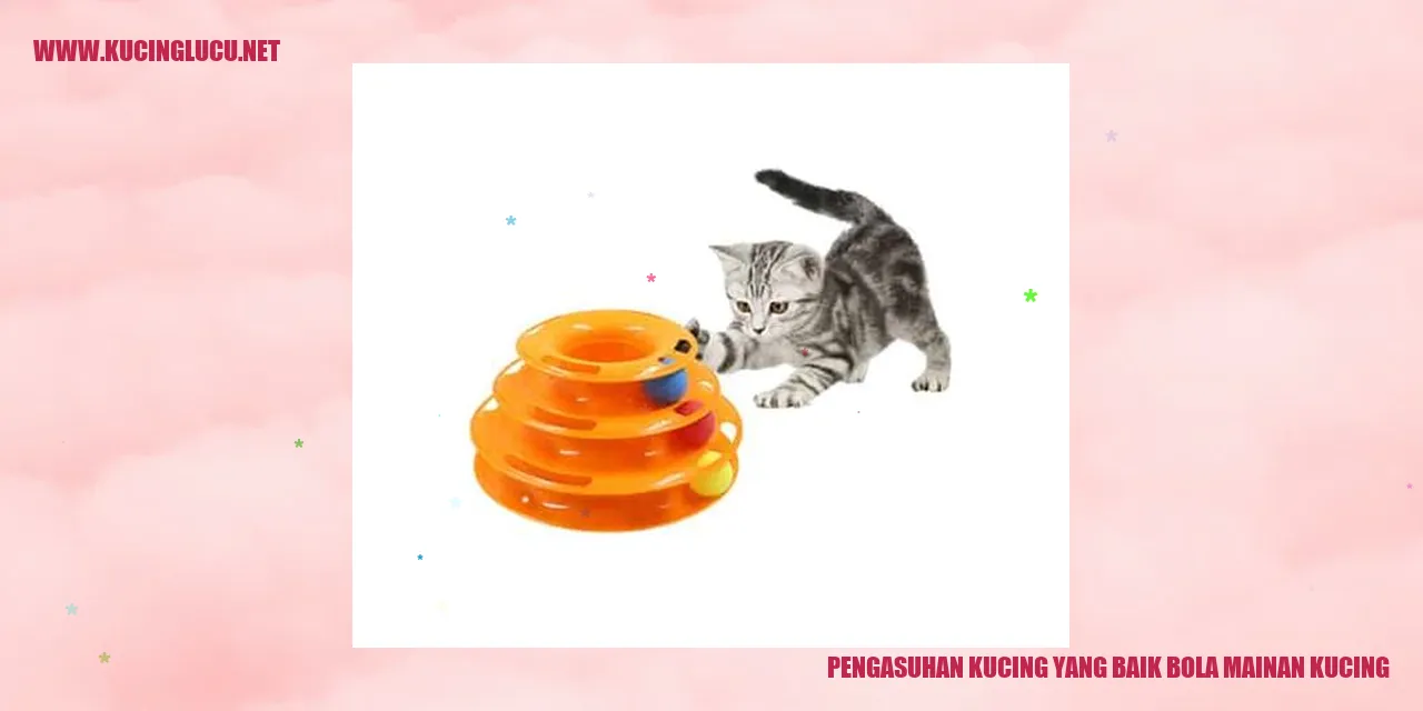 Bola Mainan Kucing
