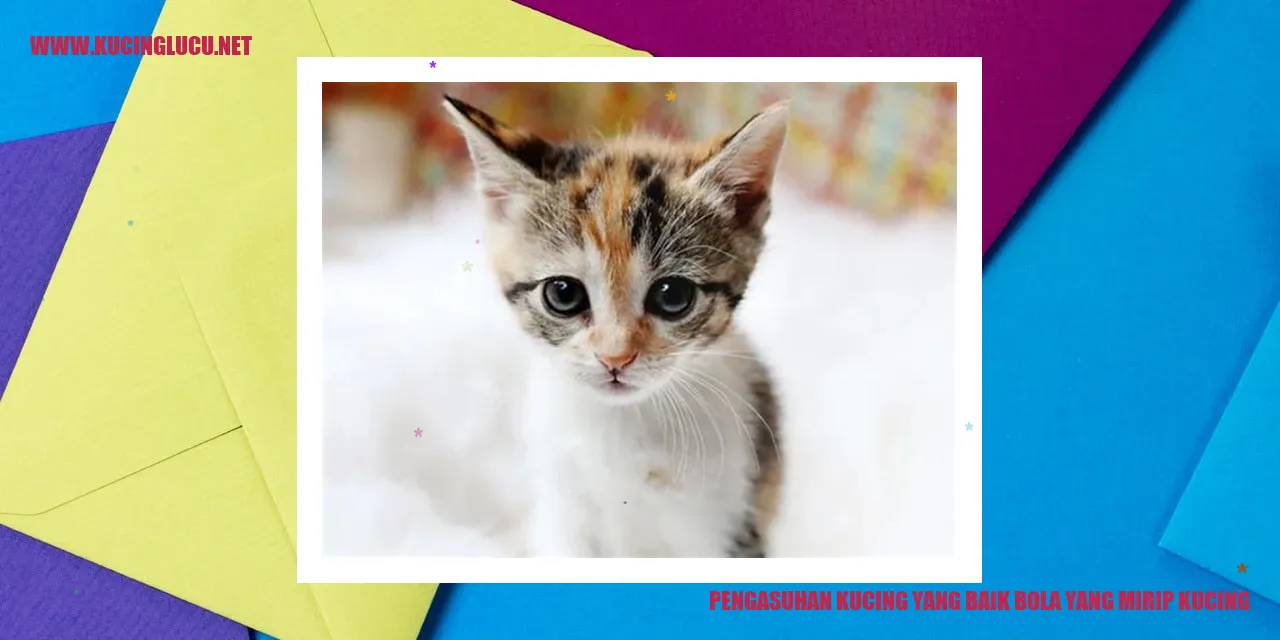 Gambar kucing
