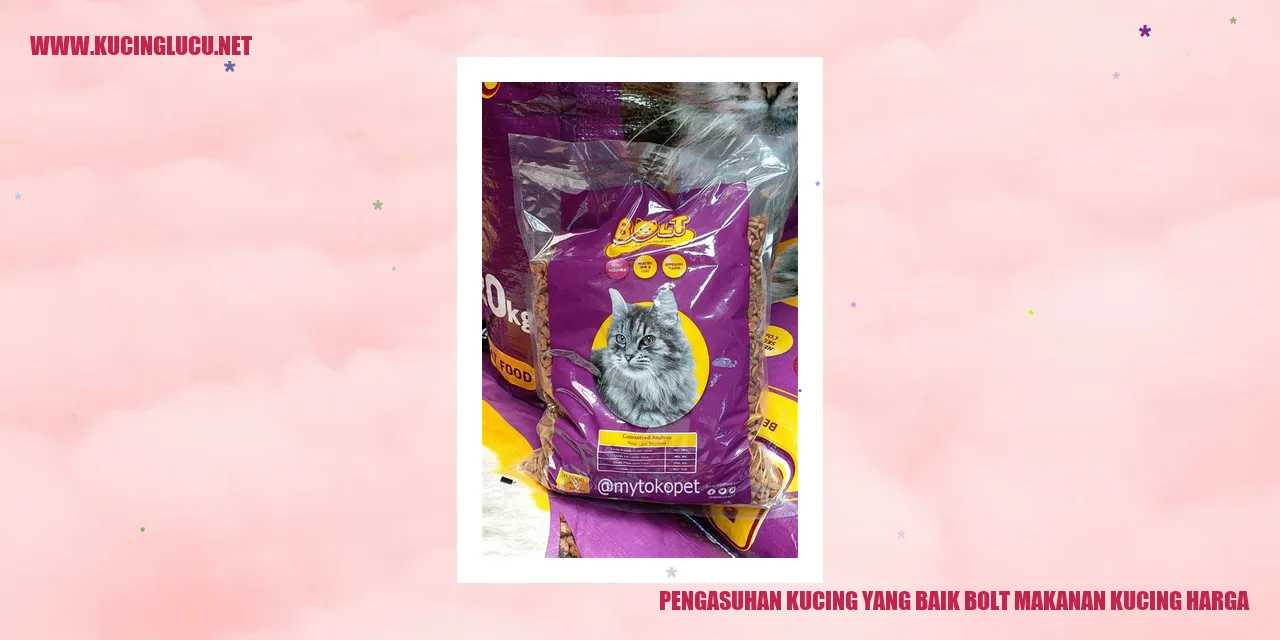 Gambar Kucing Lucu