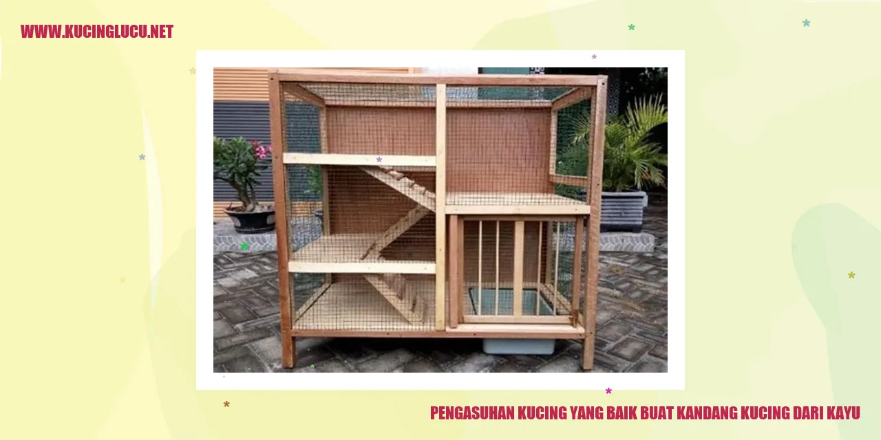 Kucing dalam kandang kayu