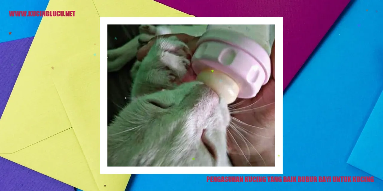 Gambar Kucing Mengonsumsi Bubur Bayi