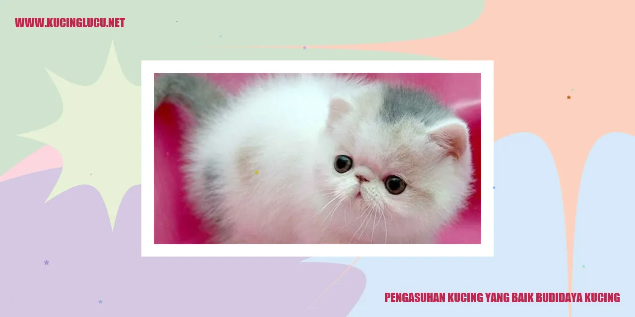 Pengasuhan Kucing yang Baik