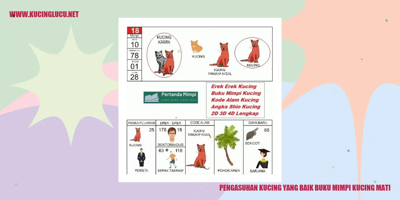 Gambar Kucing yang Lucu
