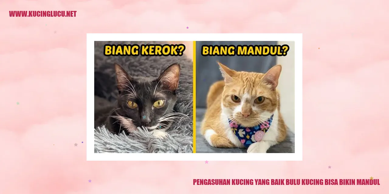 Bulu Kucing dapat menyebabkan kesuburan anjlok