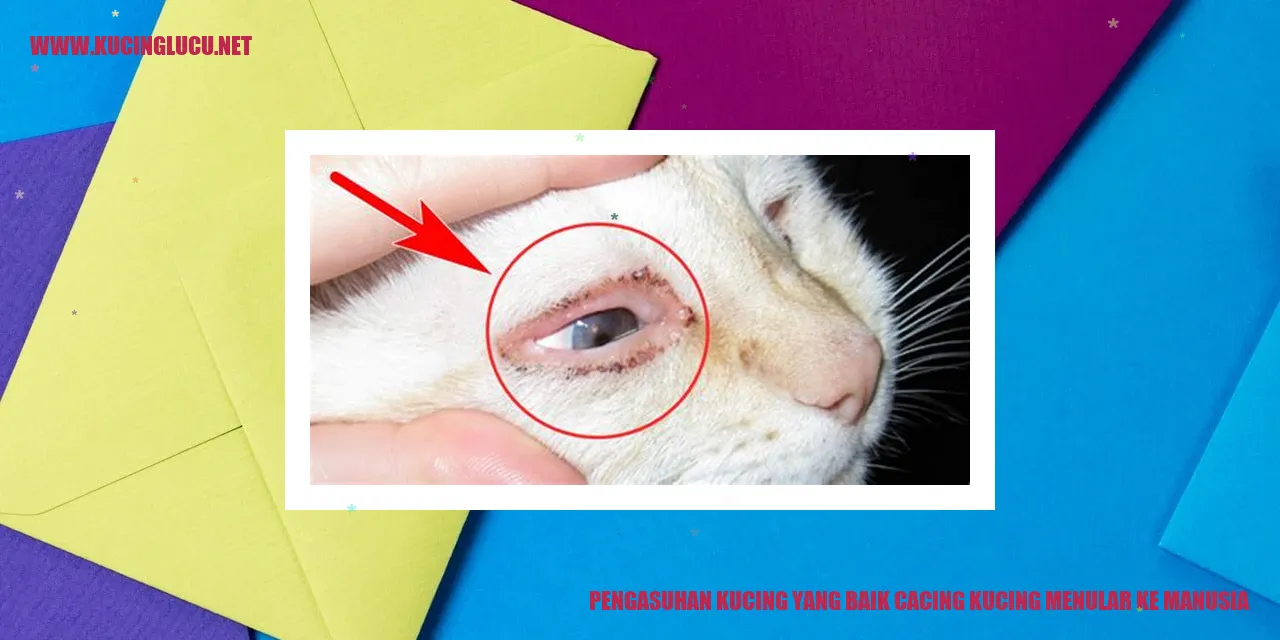 Pengasuhan Kucing yang Baik cacing kucing menular ke manusia