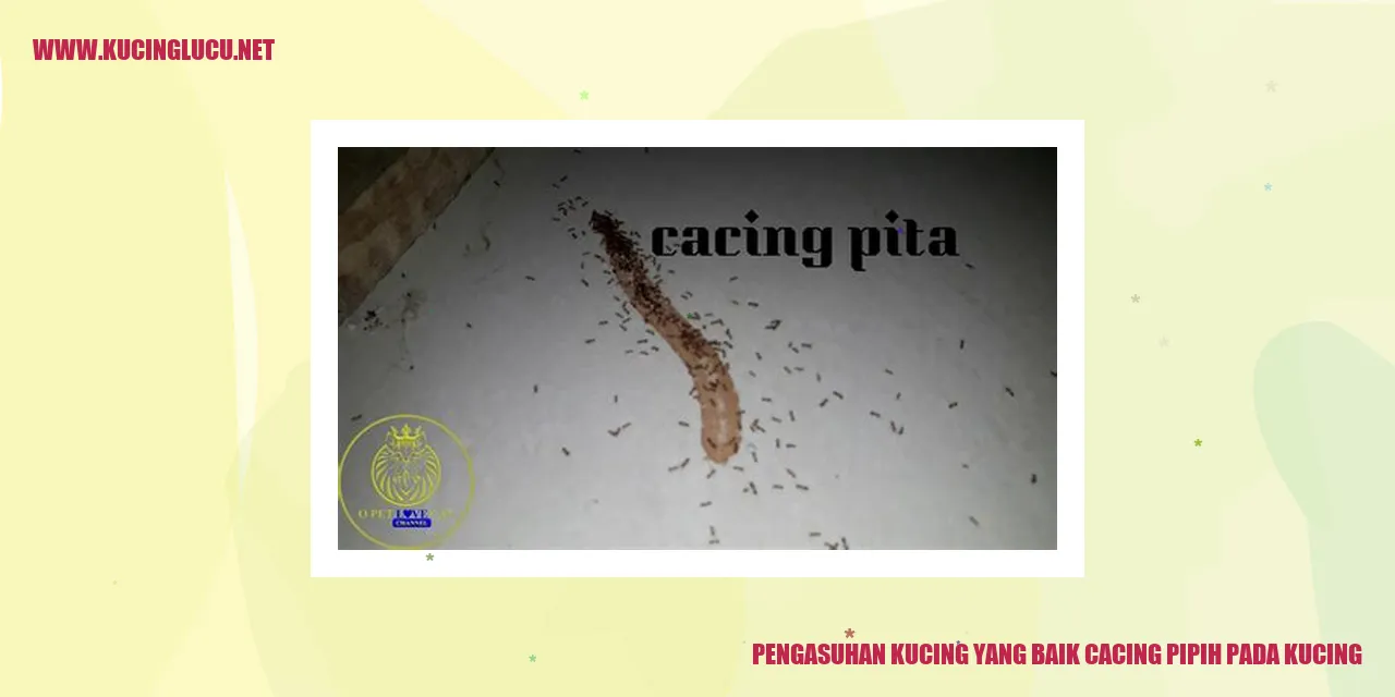 Gambar Kucing