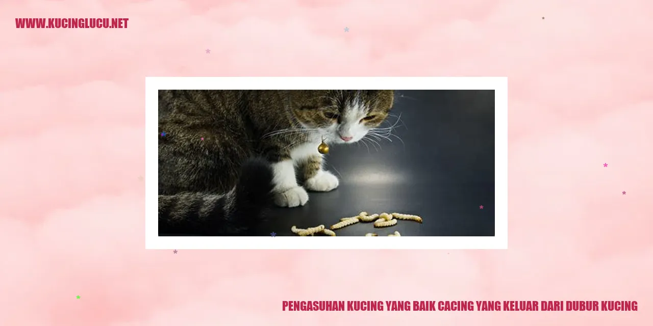 kucing sehat dan bahagia