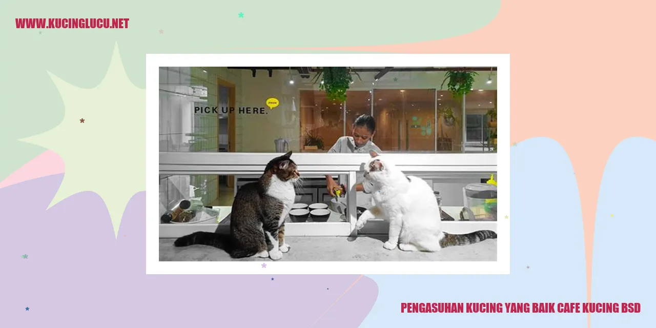Gambar Kucing di Cafe Kucing BSD
