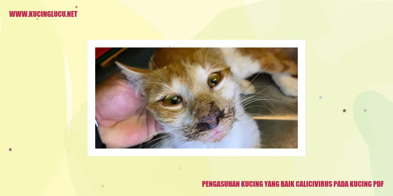 Gambar Kucing