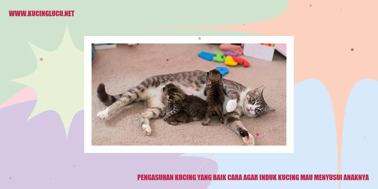 Kucing menyusui anaknya
