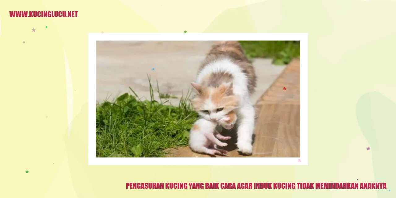 Gambar Kucing Bersama Anaknya